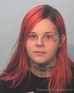 Booking photo from Allen County, Indiana