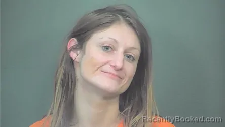 Mugshot of Amanda N Lawson