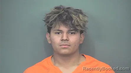 Mugshot of Said Vargas