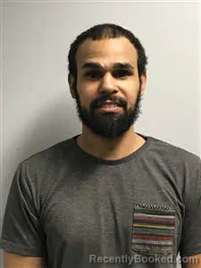 Mugshot of Johnithyn Thomas James Bristol