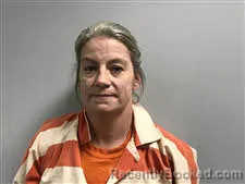 Mugshot of Crystal Lee Early