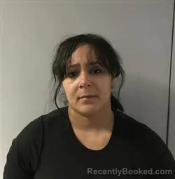 Mugshot of Brooklyn Noel Tanguy