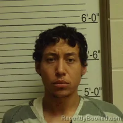 Booking photo from Brown County, Indiana