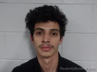 Mugshot of FERNANDEZ MEDINA, JOSUAR