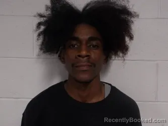 Mugshot of ARZU FERNANDEZ, GERSON