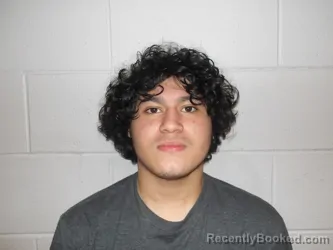 Booking photo from Clay County, Indiana