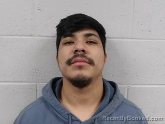 Mugshot of TIAPAL TOTOLI, LUIS