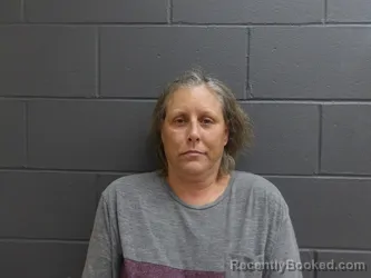 Booking photo from Clay County, Indiana