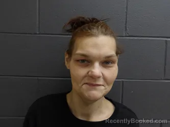 Booking photo from Clay County, Indiana