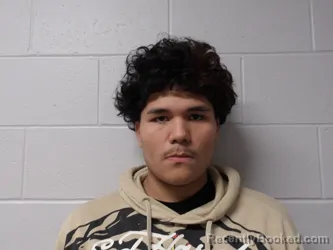 Booking photo from Clay County, Indiana