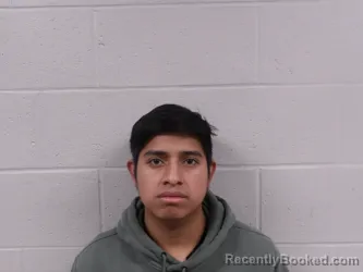 Booking photo from Clay County, Indiana