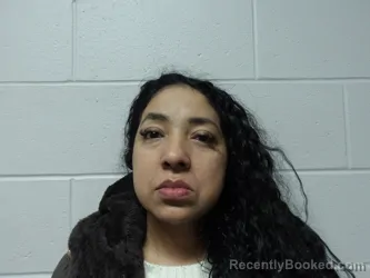 Mugshot of LIRA, ENCARIS YECENIA