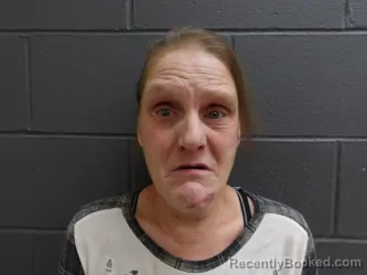 Booking photo from Clay County, Indiana