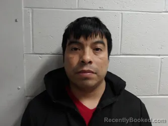 Mugshot of ALVARADO-HERNANDEZ, SAUL