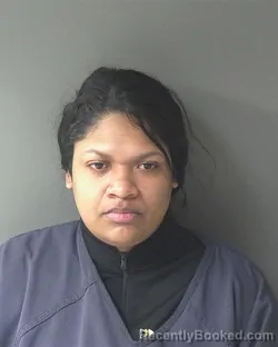 Mugshot of Milagros Falcon-estrada