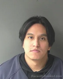 Mugshot of Alexis Celaya-vazquez