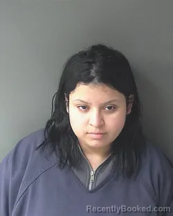 Mugshot of Nineth Duarte-meija