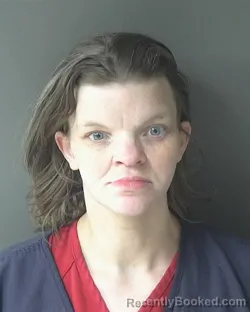 Mugshot of Ashley Dawn Applegate