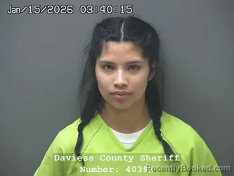 Mugshot of KARINA MARIE HERNANDEZ