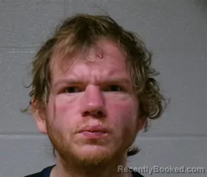 Mugshot of BRANDON JAMES WALLACE