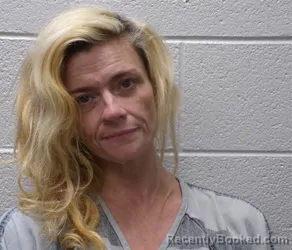 Mugshot of JULIE ERIN HOBBS LANTER