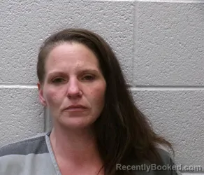 Mugshot of HEATHER DAWN MCGRAW