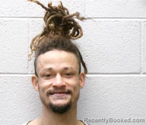 Booking photo from Henderson County, North Carolina