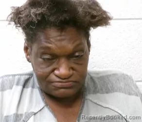 Mugshot of TAMI ZANETTE CALDWELL