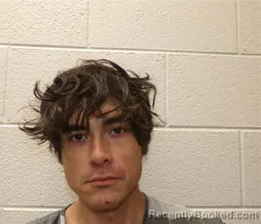 Mugshot of BRANDON KYLE DILLARD