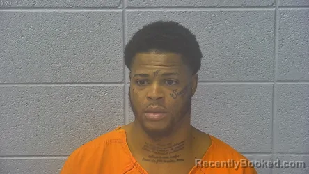 Mugshot of FRANTZ NMI GEORGES