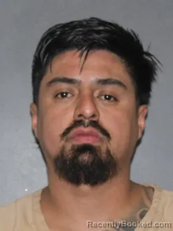 Booking photo from Elkhart County, Indiana