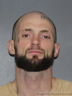 Mugshot of William John Allen Heerschop