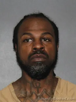 Mugshot of Don Lewis Anderson