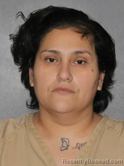 Booking photo from Elkhart County, Indiana