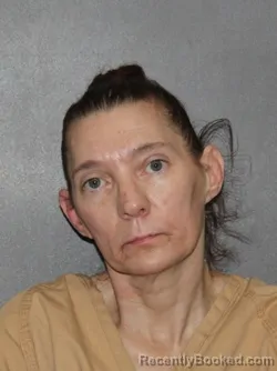 Booking photo from Elkhart County, Indiana