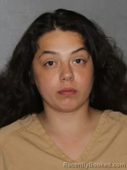 Booking photo from Elkhart County, Indiana