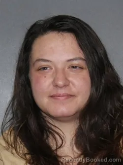 Booking photo from Elkhart County, Indiana