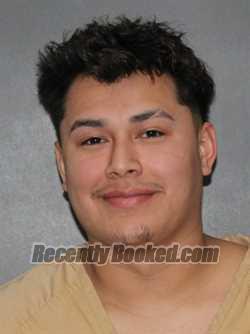 Booking photo from Elkhart County, Indiana