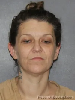 Booking photo from Elkhart County, Indiana