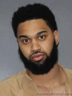 Mugshot of Roland F Austin