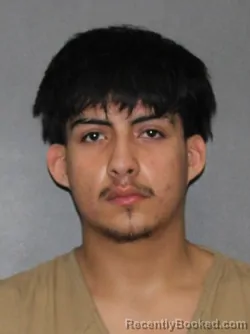 Mugshot of Willie M. Chavez