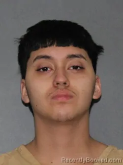 Mugshot of Arodi Joel Rodas Berrios
