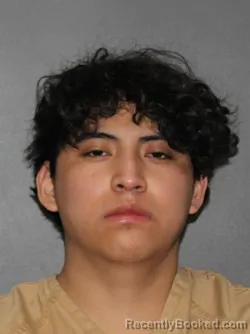 Mugshot of Fredy Gomez Gomez