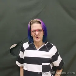 Mugshot of ABBY K BUSHOR