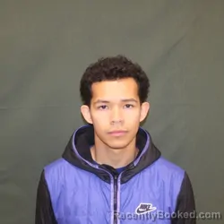 Booking photo from Fountain County, Indiana