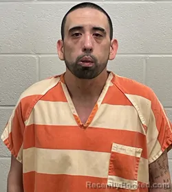 Mugshot of JONATHAN MICHAEL STEINERT