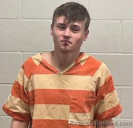 Mugshot of JASON RYAN BROWN