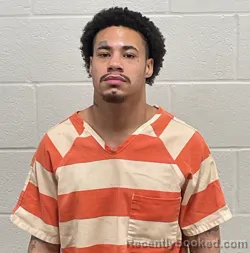 Mugshot of PAUL EDWARD STEPHNEY