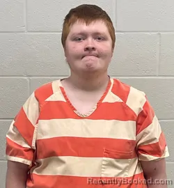Mugshot of DYLAN MICHAEL LEWIS
