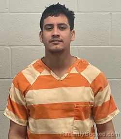 Booking photo from Fulton County, Indiana